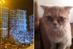 Ekran görüntüsü 2023-02-21 193648