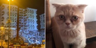 Ekran görüntüsü 2023-02-21 193648