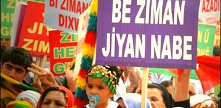 İHD: Her çocuğun anadilini öğrenmesi haktır