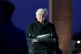 stein-e1676975830925