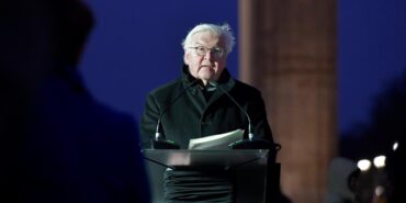 stein-e1676975830925