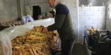 690x390cc-smsr-29-03-2023-semsur-tututn-fiyat-artti-derwis-temel3