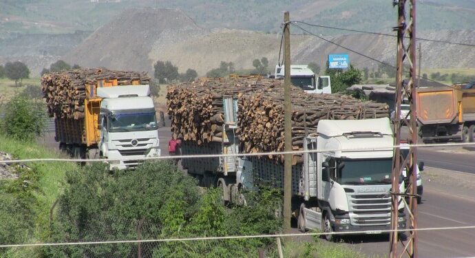 Şırnak Barosu: Ombdusmanlığın yanıtındaki bilgiler gerçeği yansıtmıyor