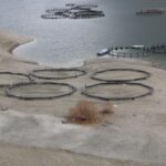 690x390cc-v-28-03-2023-wan-kuraklkla-bogusuyor-tum-serhat-etkilenecek-detay1