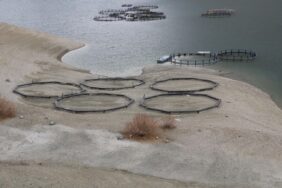 690x390cc-v-28-03-2023-wan-kuraklkla-bogusuyor-tum-serhat-etkilenecek-detay1