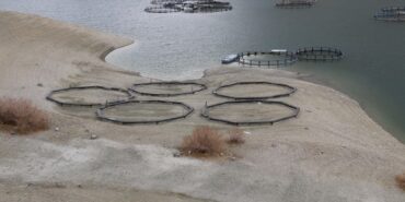 690x390cc-v-28-03-2023-wan-kuraklkla-bogusuyor-tum-serhat-etkilenecek-detay1