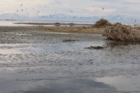 823x463cc-wan-26-03-23-wan-golundeki-koku-ve-kirlilik-kadinlar-degerlendirme-esma-mansettt