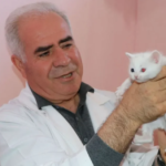 Ekran görüntüsü 2023-03-02 134618