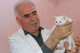 Ekran görüntüsü 2023-03-02 134618