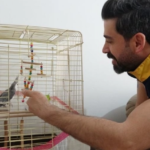 Ekran görüntüsü 2023-03-06 232345