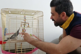 Ekran görüntüsü 2023-03-06 232345