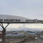 Ekran görüntüsü 2023-03-08 235159