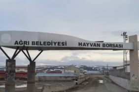 Ekran görüntüsü 2023-03-08 235159