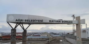 Ekran görüntüsü 2023-03-08 235159