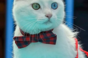 Ekran görüntüsü 2023-03-08 235424