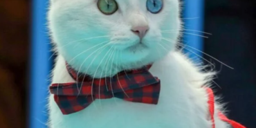 Ekran görüntüsü 2023-03-08 235424