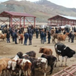 Ekran görüntüsü 2023-03-10 003325