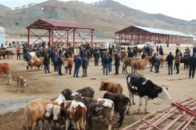 Ekran görüntüsü 2023-03-10 003325