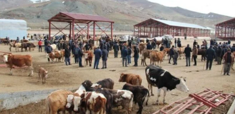 Ağrı’nın ardından Kars’ta da hayvan pazarı kapatıldı