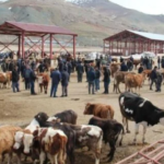 Ekran görüntüsü 2023-03-10 232638