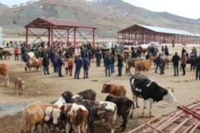 Ekran görüntüsü 2023-03-10 232638