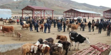 Ekran görüntüsü 2023-03-10 232638