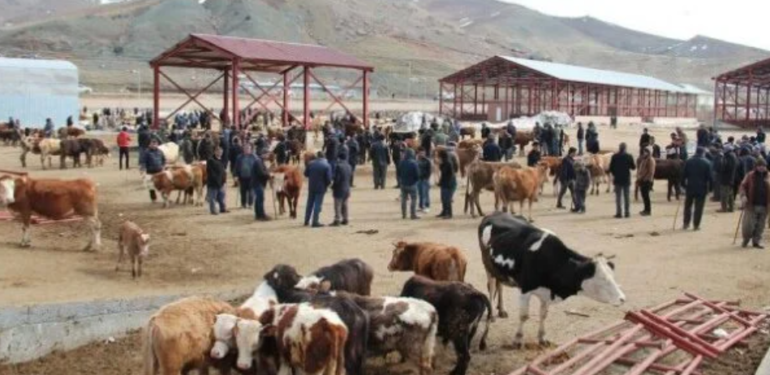 Kars ve Ağrı’dan sonra Van Canlı Hayvan Borsası da kapatıldı