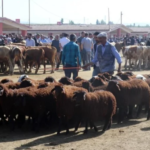 Ekran görüntüsü 2023-03-20 162422