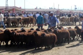 Ekran görüntüsü 2023-03-20 162422