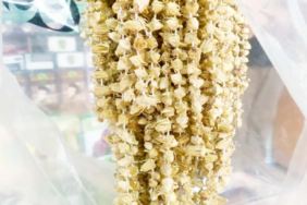 Ekran görüntüsü 2023-03-22 170800