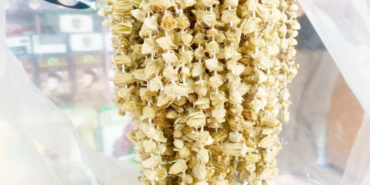 Ekran görüntüsü 2023-03-22 170800