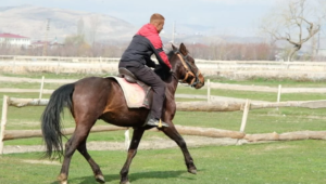 Ekran görüntüsü 2023-03-25 124421