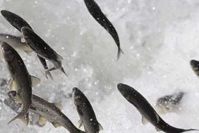 Ekran görüntüsü 2023-03-25 130603