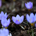 Ekran görüntüsü 2023-03-26 215727