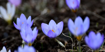 Ekran görüntüsü 2023-03-26 215727