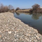 hevsel-salih-haber-1