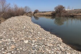 hevsel-salih-haber-1