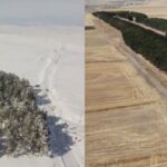 karsta-20-bin-cam-agaci-gorenleri-buyuluyor-1