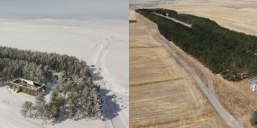 karsta-20-bin-cam-agaci-gorenleri-buyuluyor-1