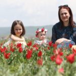 1a5d2306-b7ee-44d6-bb4e-e38ba20dbc2e