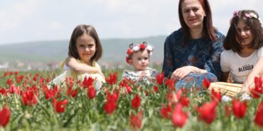 1a5d2306-b7ee-44d6-bb4e-e38ba20dbc2e