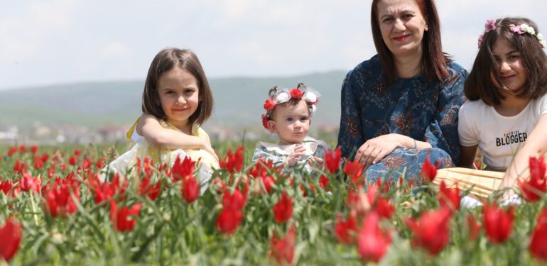 Muş Ovası lalelerle kırmızıya boyandı
