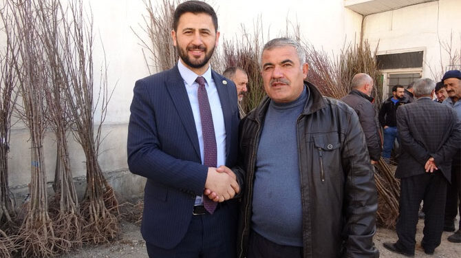 Yüksekova’da meyve ağaçları dağıtıldı