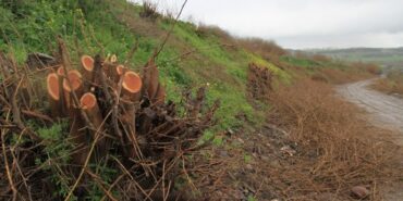 690x390cc-amd-03-04-2023-hewsel-qirkirin-bertek-aktivist-murat-bilgi-ekoloji4