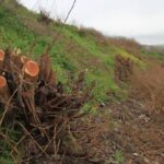 690x390cc-amd-03-04-2023-hewsel-qirkirin-bertek-aktivist-murat-bilgi-ekoloji4