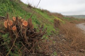 690x390cc-amd-03-04-2023-hewsel-qirkirin-bertek-aktivist-murat-bilgi-ekoloji4