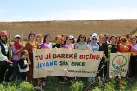 823x463cc-amd-08-04-23-ekoloji-fidan-dikimi15