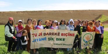 823x463cc-amd-08-04-23-ekoloji-fidan-dikimi15