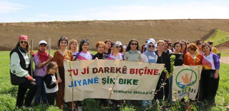 Kadınlar Mardin’de ağaç dikti