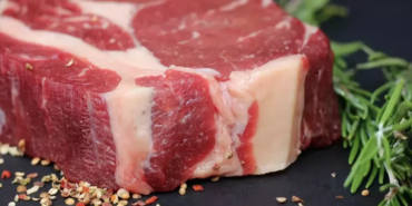 Ekran görüntüsü 2023-04-03 234045